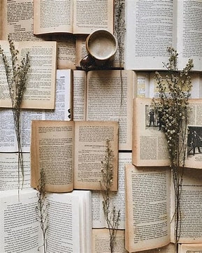 Bookish things