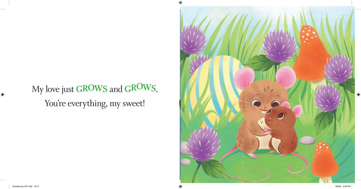 Somebunny Loves You book for your little one.